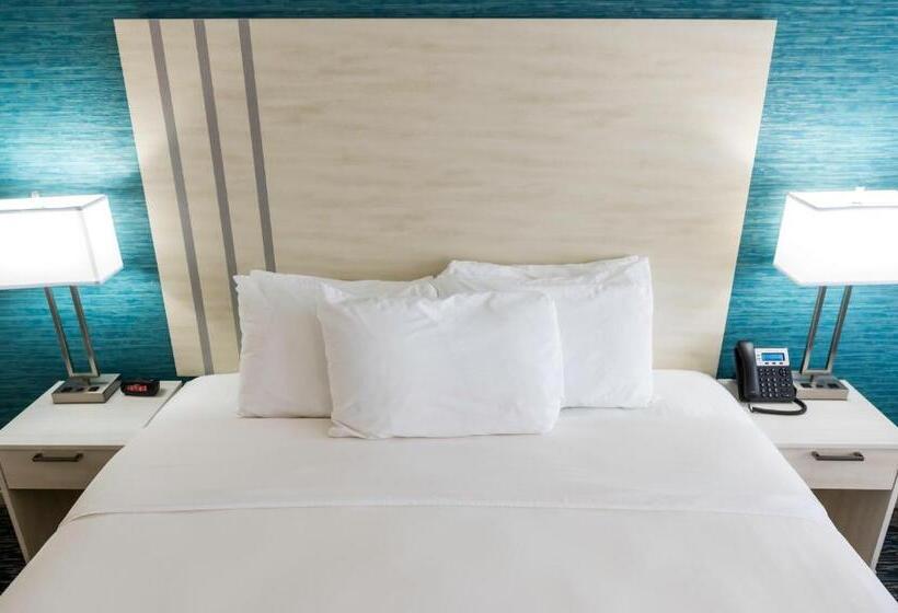 فندق Illinois Beach