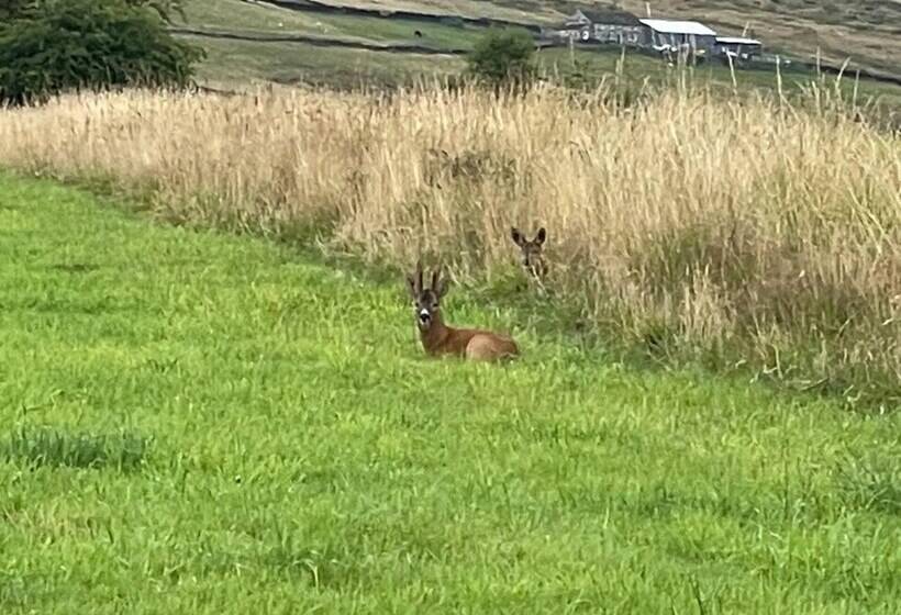 בית מלון כפרי Inviting 4 Berth Caravan In Hebden Bridge