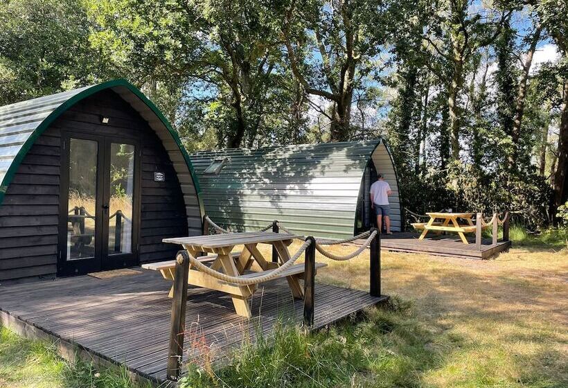 فندق Nuthatch Cabin At Cloudshill Glade   Campsite