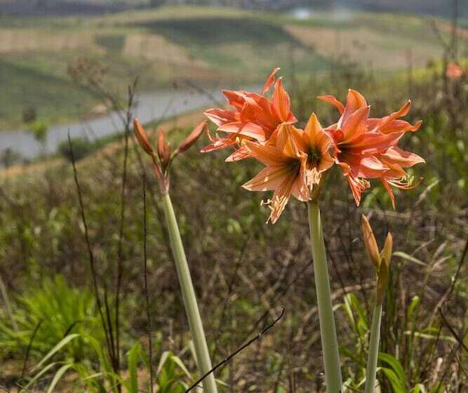 酒店 Refúgio Do Rio Bonito