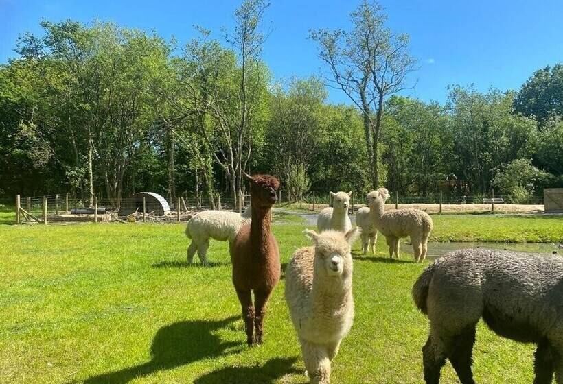 酒店 Robin Hood Safari Tent