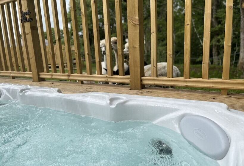 酒店 Robin Hood Safari Tent