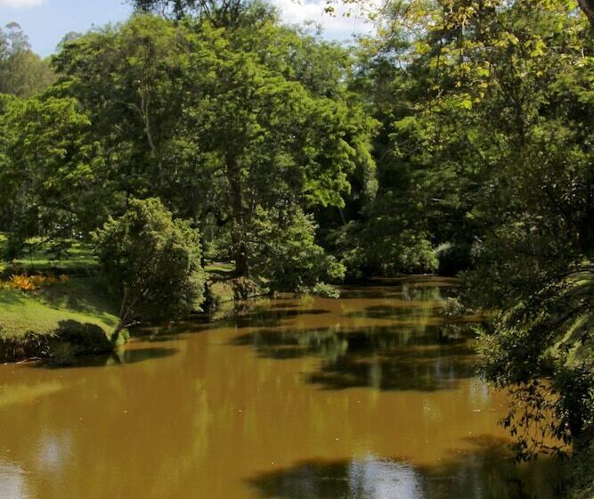 Сельский отель Solar Fazenda Do Cedro