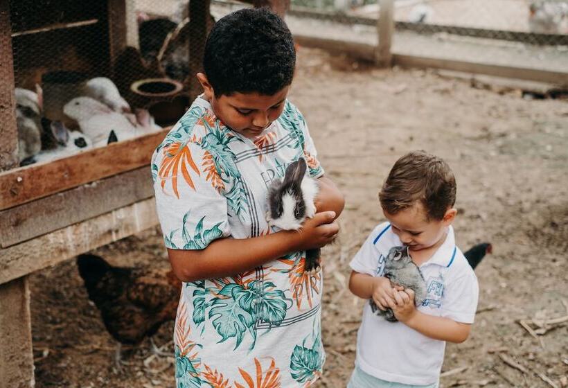 Сельский отель Solar Fazenda Do Cedro