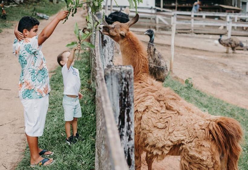 Сельский отель Solar Fazenda Do Cedro