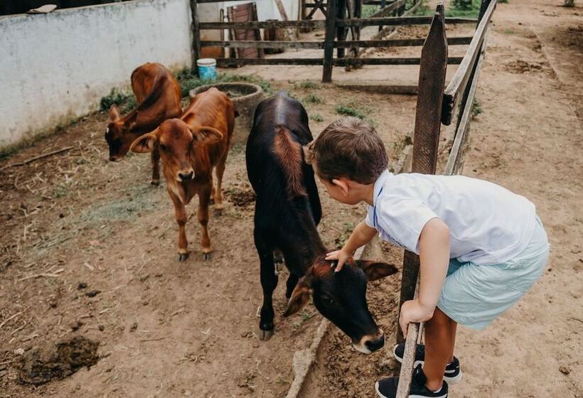 Сельский отель Solar Fazenda Do Cedro