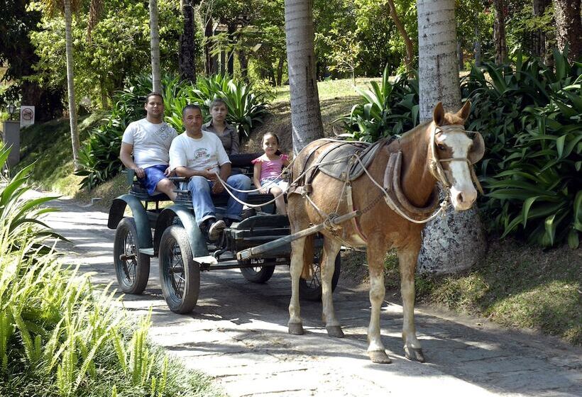Сельский отель Solar Fazenda Do Cedro