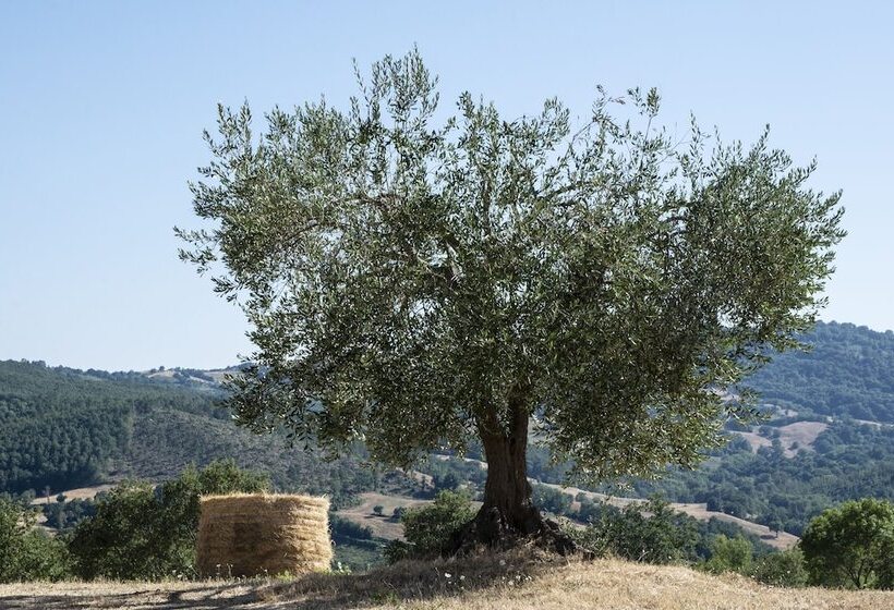 فندق Tenuta San Lodovico