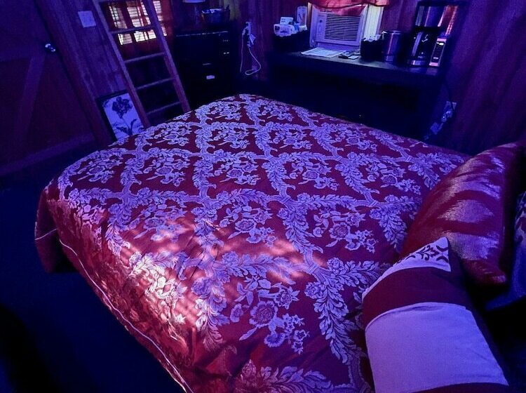 Kamp 42 Degrees Campground