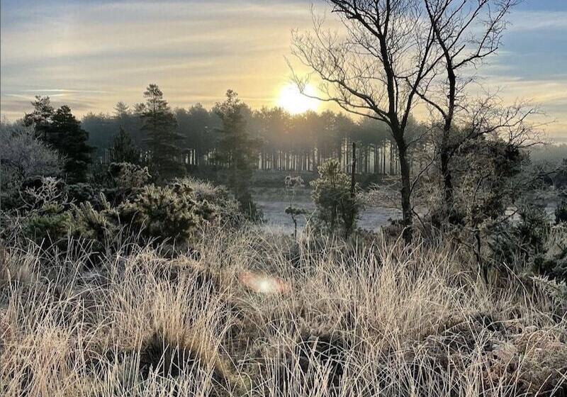 Manor House Mews Rustic Stable Conversion