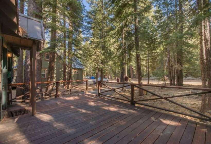 Owl S Peak By Avantstay Private Pine Tree Cabin Mins From The Water
