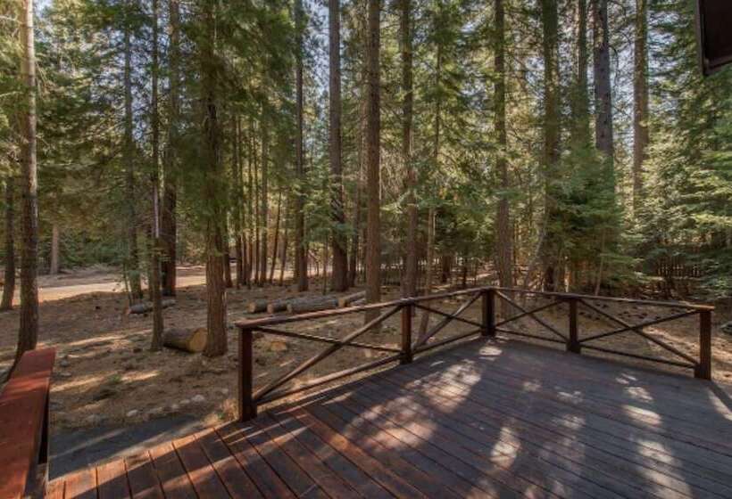 Owl S Peak By Avantstay Private Pine Tree Cabin Mins From The Water