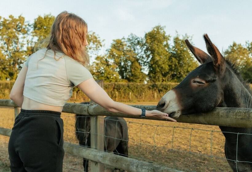 פנסיון Glamping At The Retreat Wiltshire Is Rural Bliss