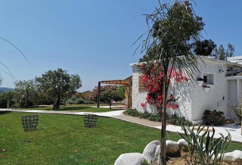 بنسيون Le Rondini