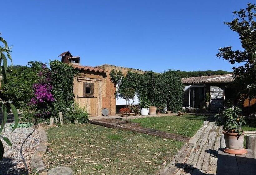 بنسيون Le Rondini