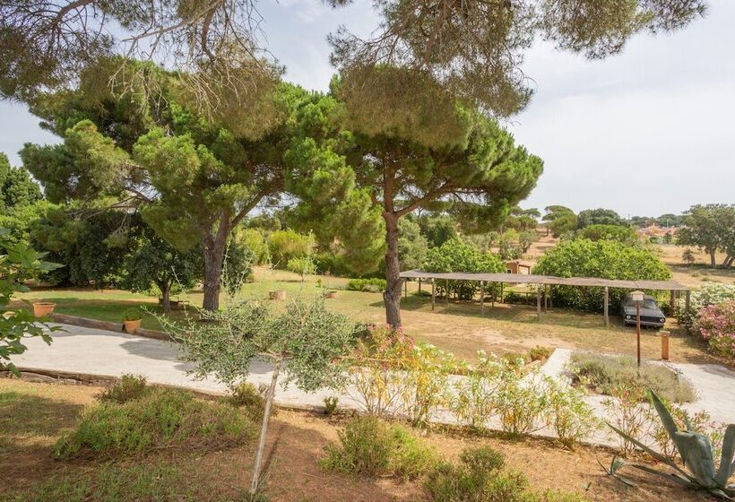 بنسيون Le Rondini