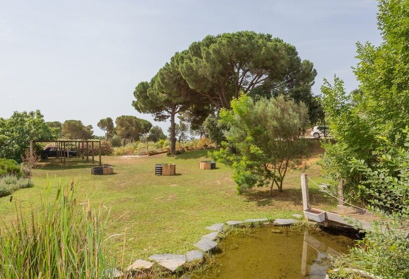 بنسيون Le Rondini