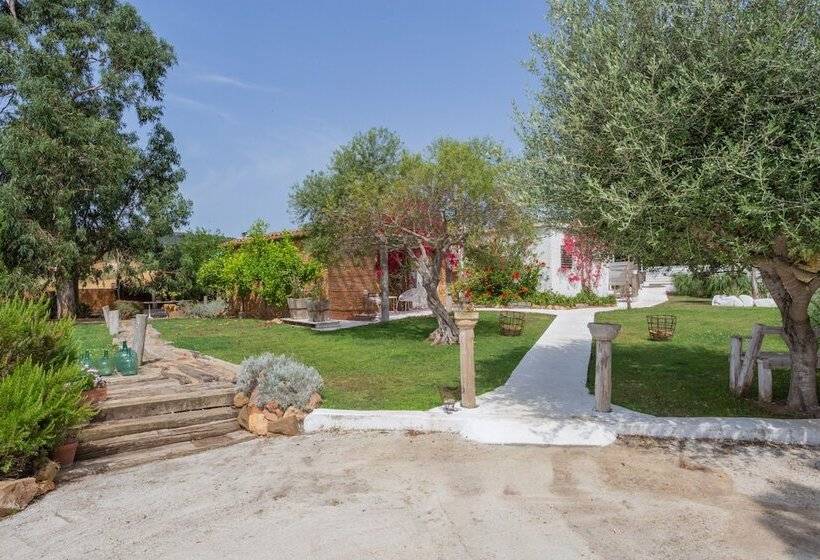 بنسيون Le Rondini