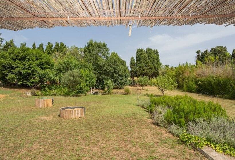 بنسيون Le Rondini