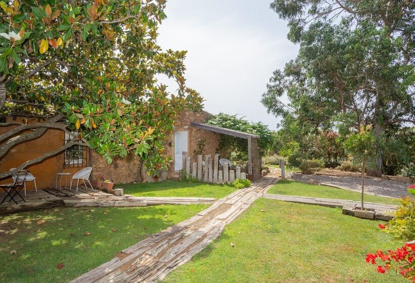 بنسيون Le Rondini