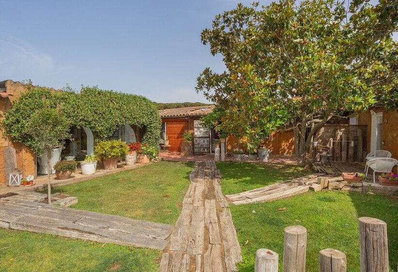 بنسيون Le Rondini