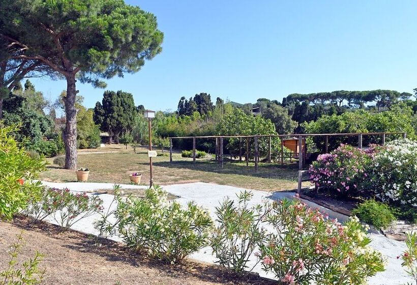 بنسيون Le Rondini