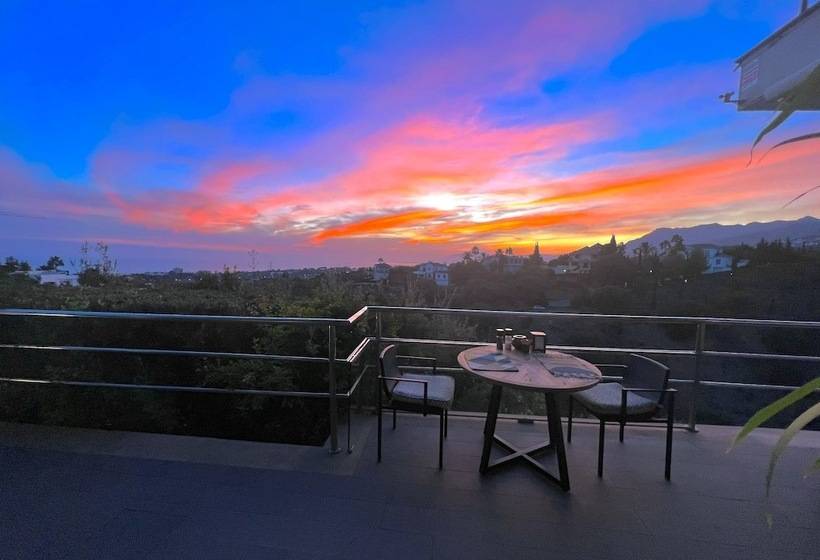 膳宿费 Marbella Boutique Art