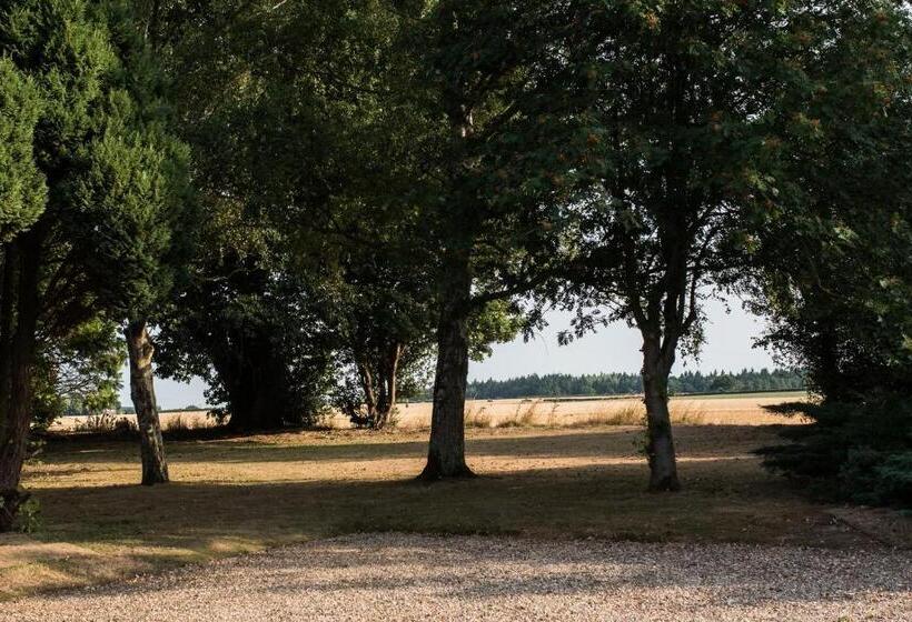 ペンション The Foxes Den