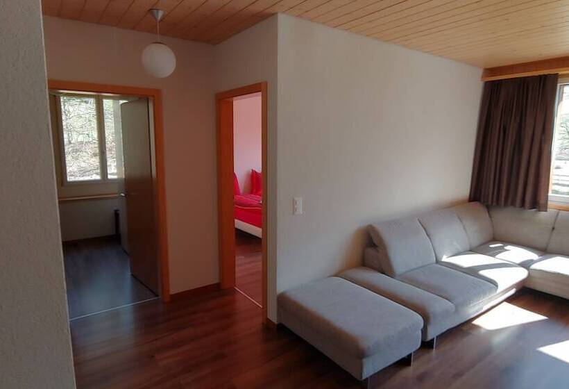 פנסיון Ufemegg Ferienwohnungen