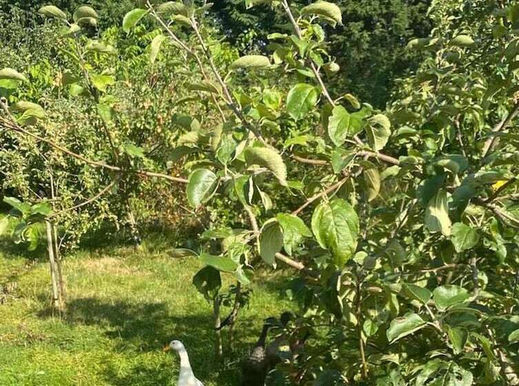 Remarkable 1 Bed Cottage In Chester