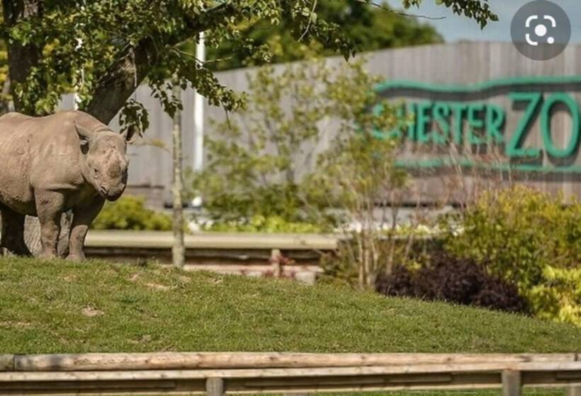 Remarkable 1 Bed Cottage In Chester