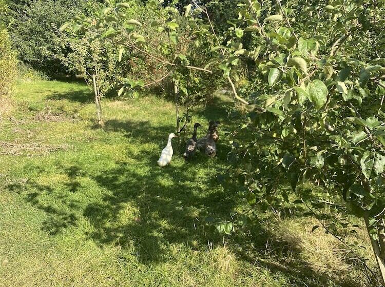 Remarkable 1 Bed Cottage In Chester