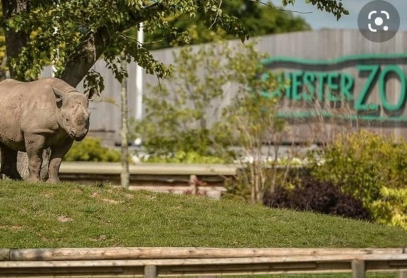 Remarkable 1 Bed Cottage In Chester