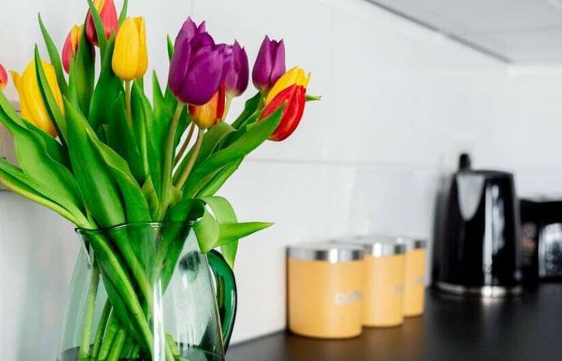 渡假胜地  The North Wales Gathering   Hot Tub Sleeps Up To 16