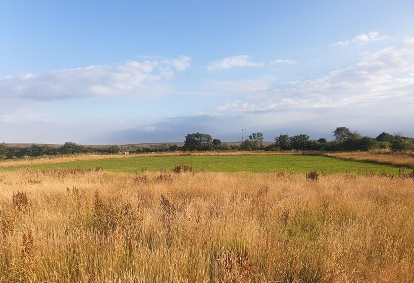 6m Emperor Tent, Near Whitby, With Log Burner