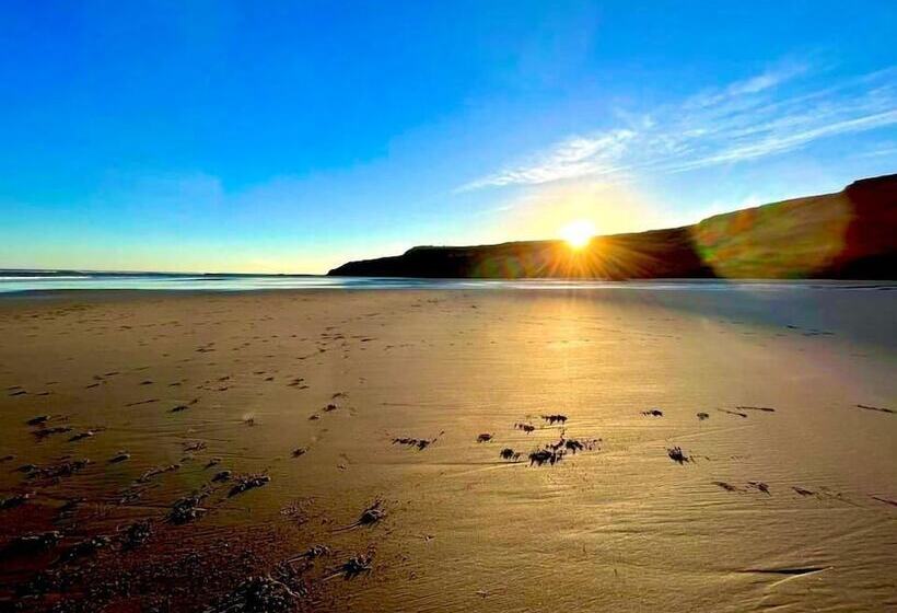 The Coast
