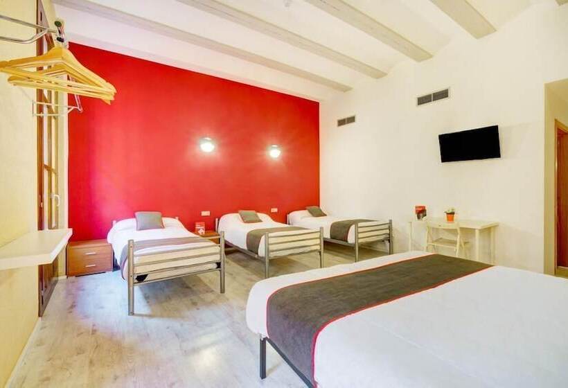 Общежитие Casa Del Cigroner