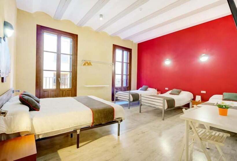 Общежитие Casa Del Cigroner