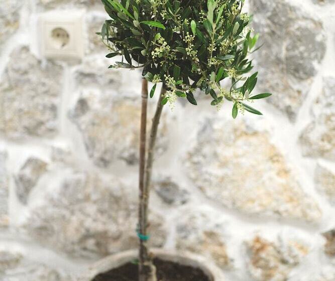 צימר Aesthisis Sensational Accommodation