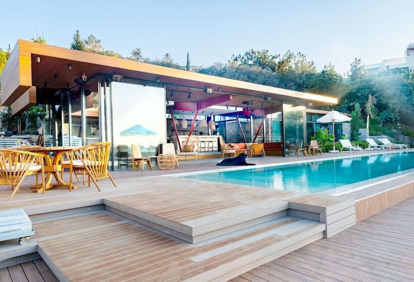 Bed and Breakfast Birdcage 33 Hotel   Adult Only