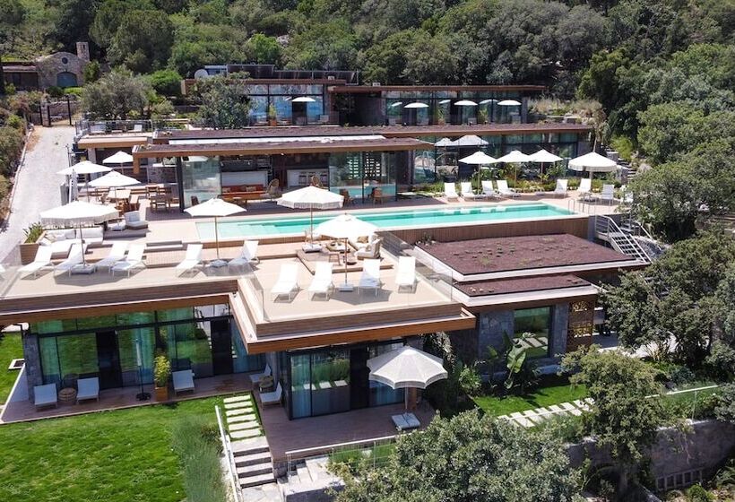 Bed and Breakfast Birdcage 33 Hotel   Adult Only