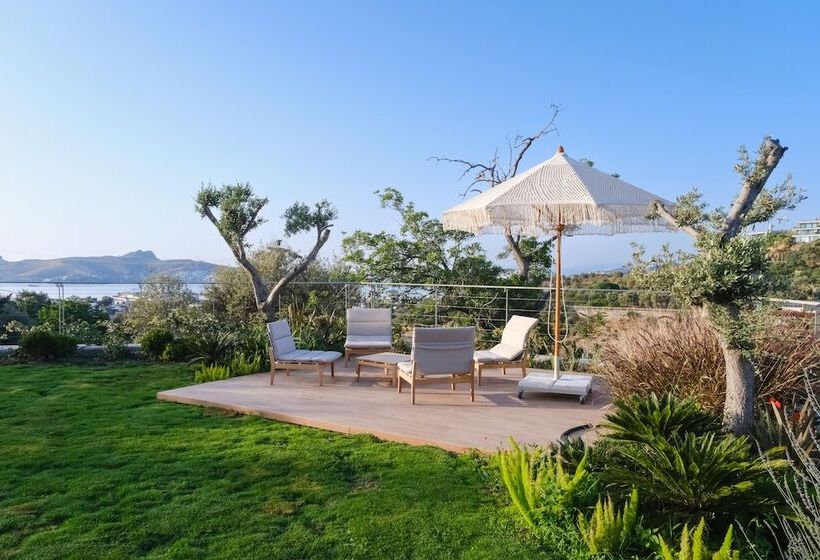 Bed and Breakfast Birdcage 33 Hotel   Adult Only