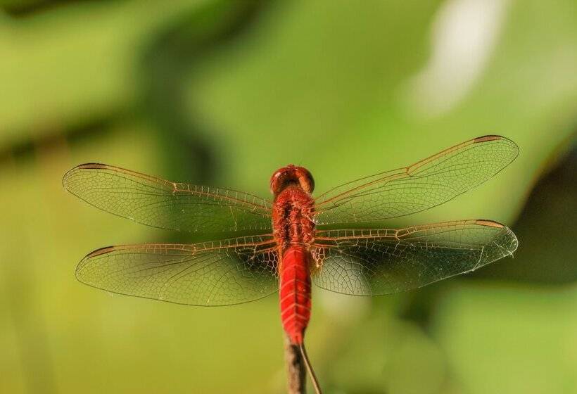 住宿加早餐  Chao Do Rio  Turismo De Aldeia