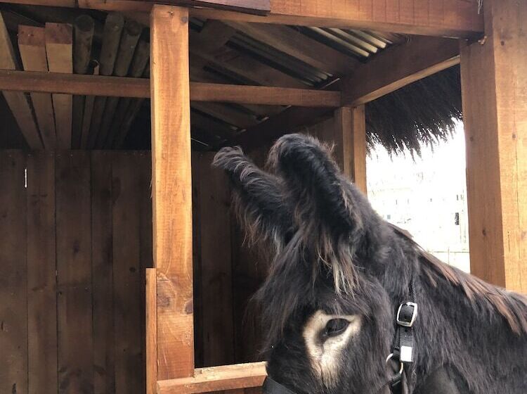 住宿加早餐  Chao Do Rio  Turismo De Aldeia