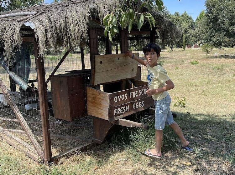 住宿加早餐  Chao Do Rio  Turismo De Aldeia