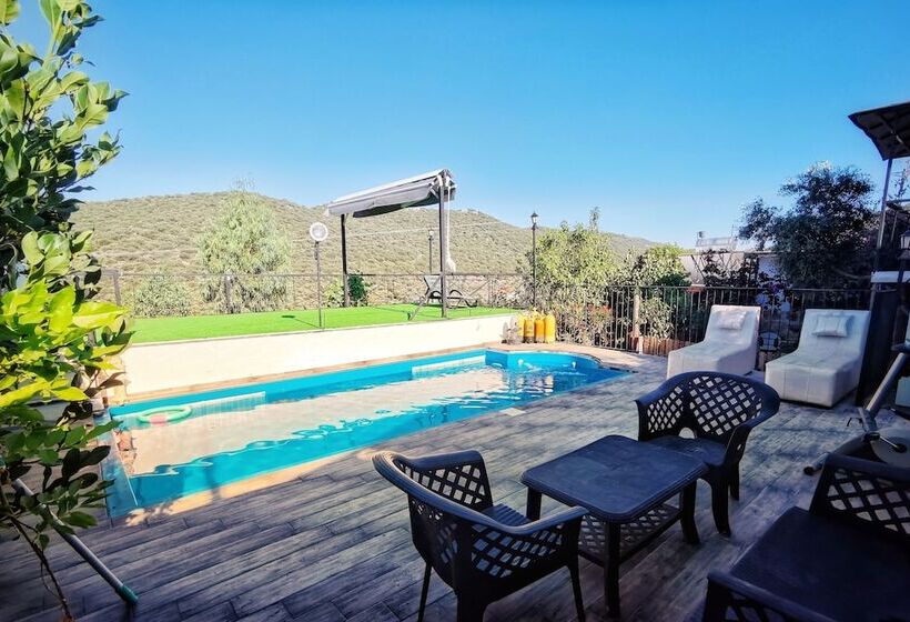 住宿加早餐  My Stone Inn