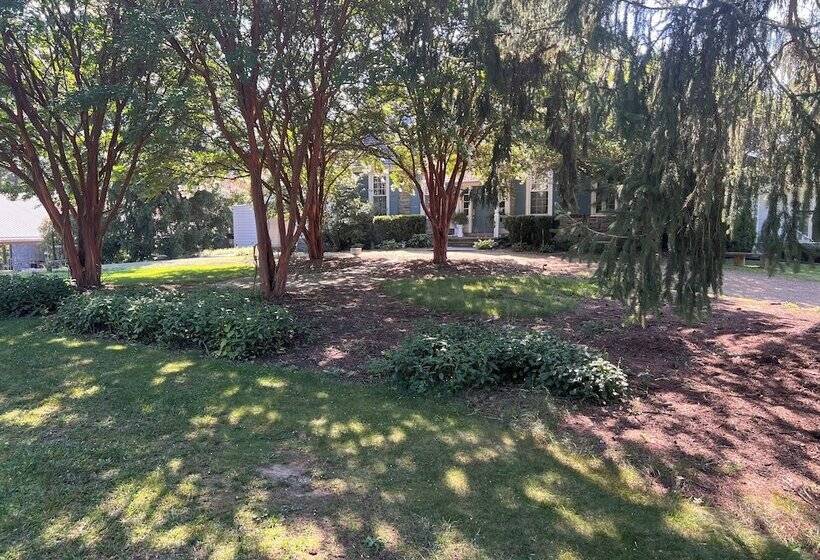 住宿加早餐  Nesselrod On The New