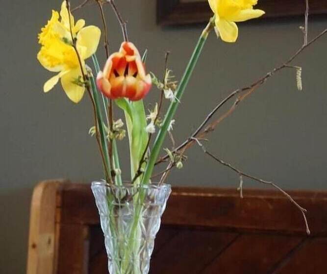 مبيت وإفطار Red Lodge Country House