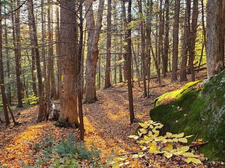 مبيت وإفطار The Brattleboro