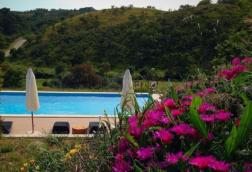 Casas De Campo Do Castro Da Cola